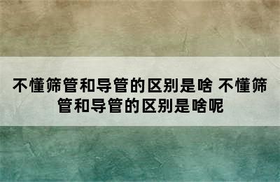 不懂筛管和导管的区别是啥 不懂筛管和导管的区别是啥呢